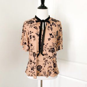 Miss Valley Sheer Mesh Floral Velvet Detail Top